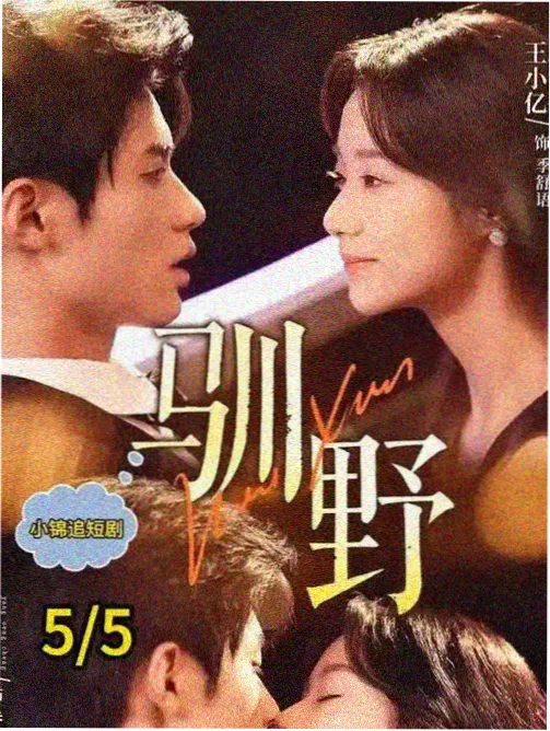 金辉剧场特别篇综艺纪实剧照